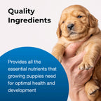PetAg Goat's Milk Esbilac Puppy Milk Replacer Liquid for Puppies,"Golden puppy being held in a person's hand"