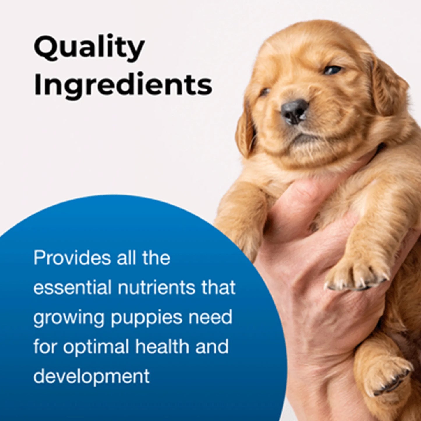 PetAg Goat's Milk Esbilac Puppy Milk Replacer Liquid for Puppies,"Golden puppy being held in a person's hand"
