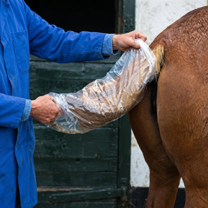 Plastic Tail Bags,"Clear plastic bag covering a horse tail during use"