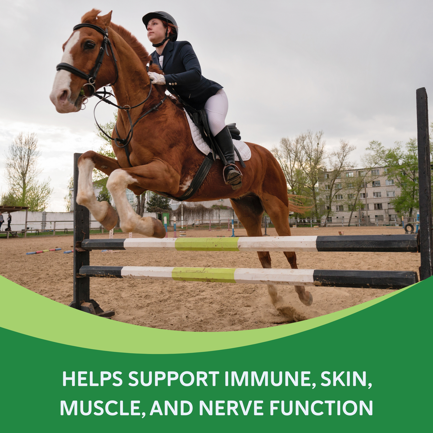 Health E™,"Rider on horse jumping over obstacle"