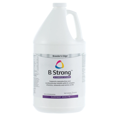 Breeder's Edge® B Strong™,"White gallon jug with handle and screw cap"