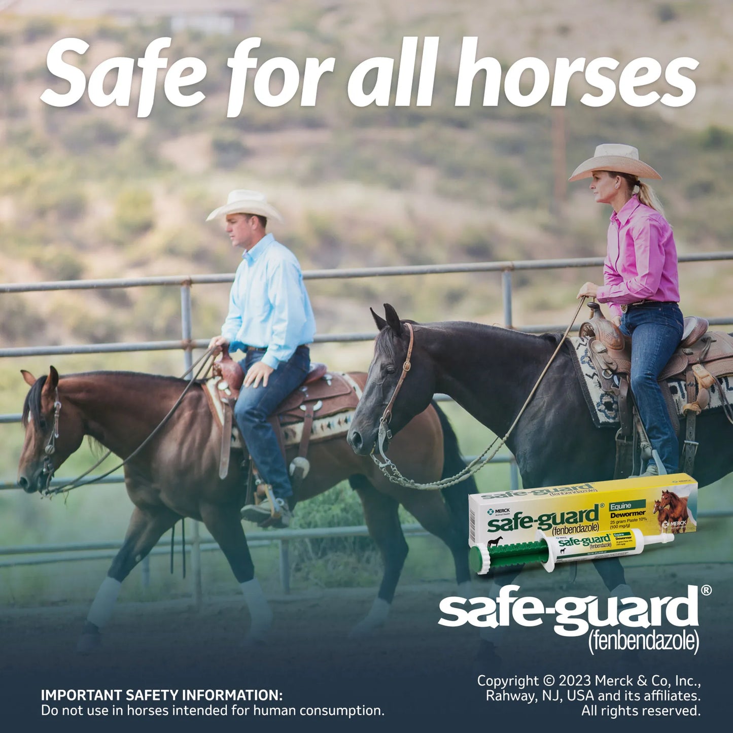 Safe-Guard® Equine Dewormer,"Paste dewormer box with dosing syringe"