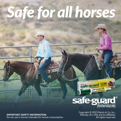 Safe-Guard® Equine Dewormer,"Paste dewormer box with dosing syringe"