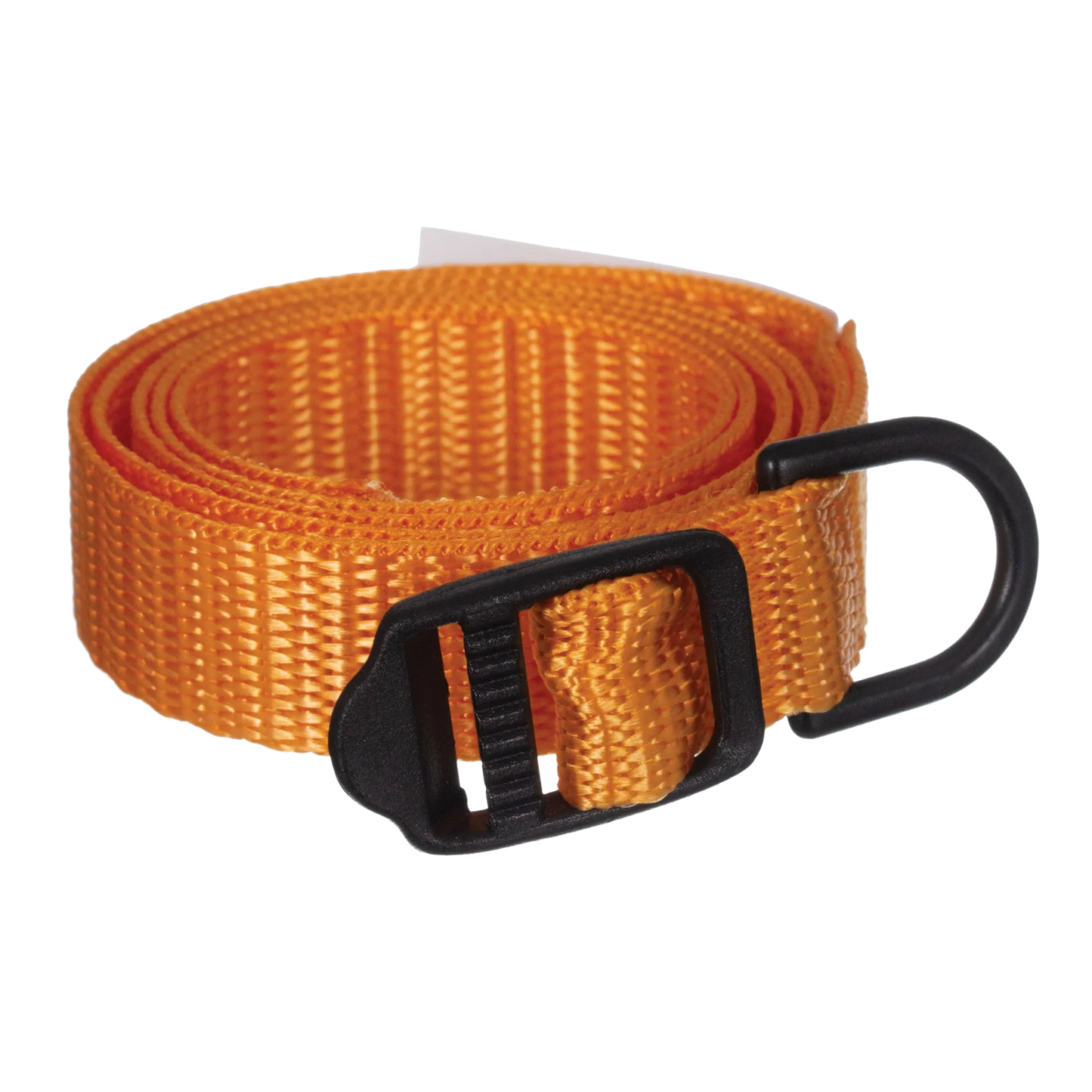 Breeder's Edge® ID Me™ Take Me Home Collars and Leashes,"Orange nylon collar with black buckle and D-ring"