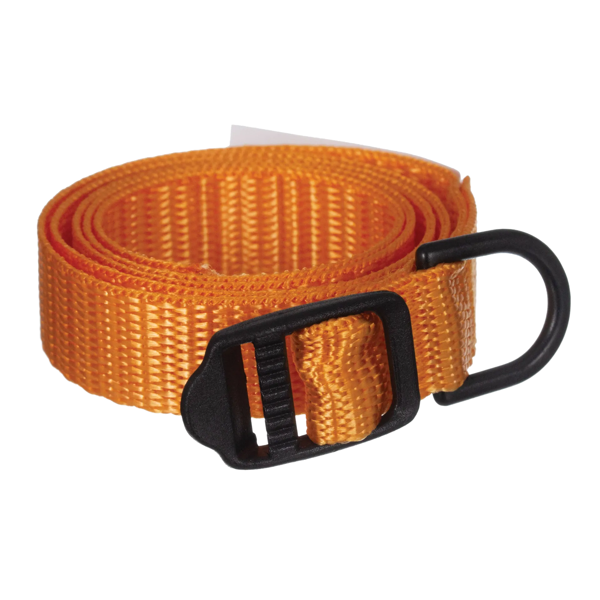 Breeder's Edge® ID Me™ Take Me Home Collars and Leashes,"Orange nylon collar with black buckle and D-ring"