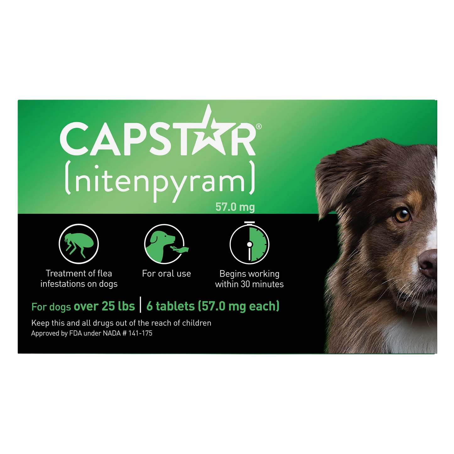 Capstar™,"Green and black tablet box with dog face image"