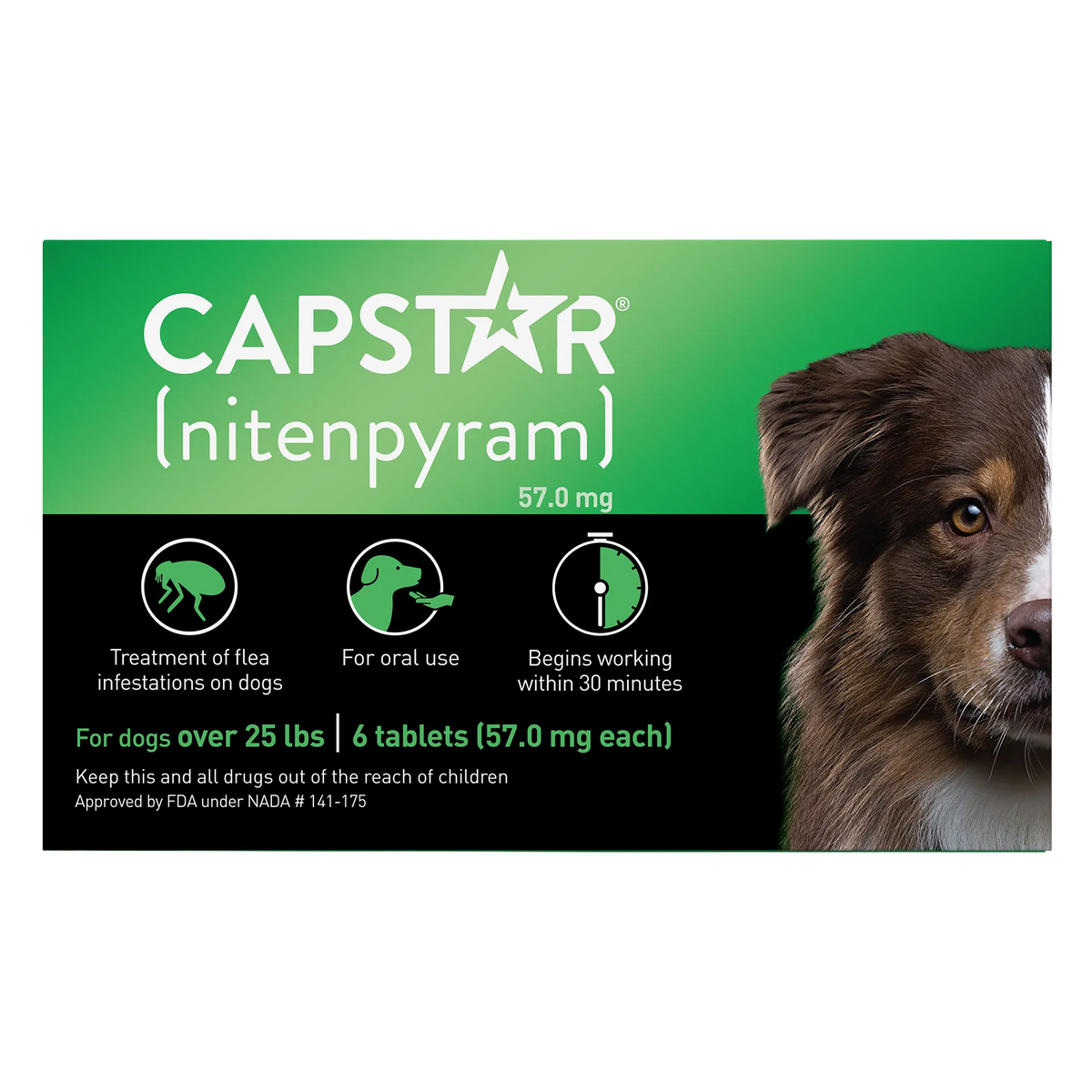 Capstar™,"Green and black tablet box with dog face image"