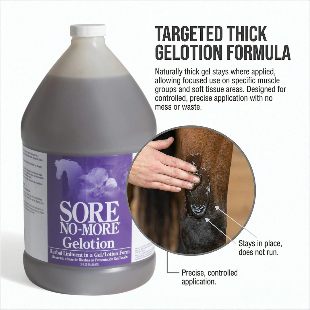 Sore No-More® Classic Gelotion,"Large bottle with gel being applied to a horse leg"