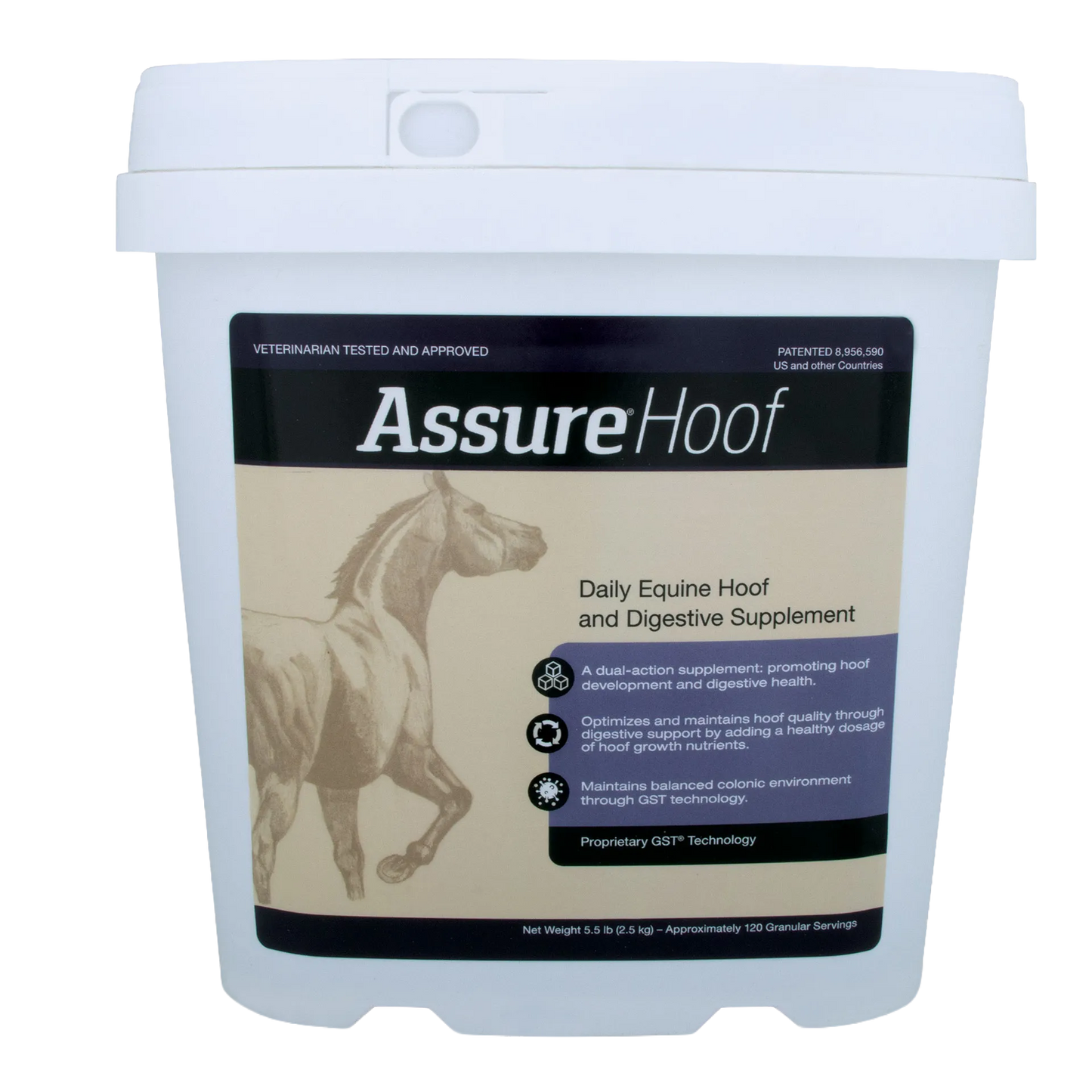 Assure® Hoof,"White plastic supplement tub with front label and snap lid"