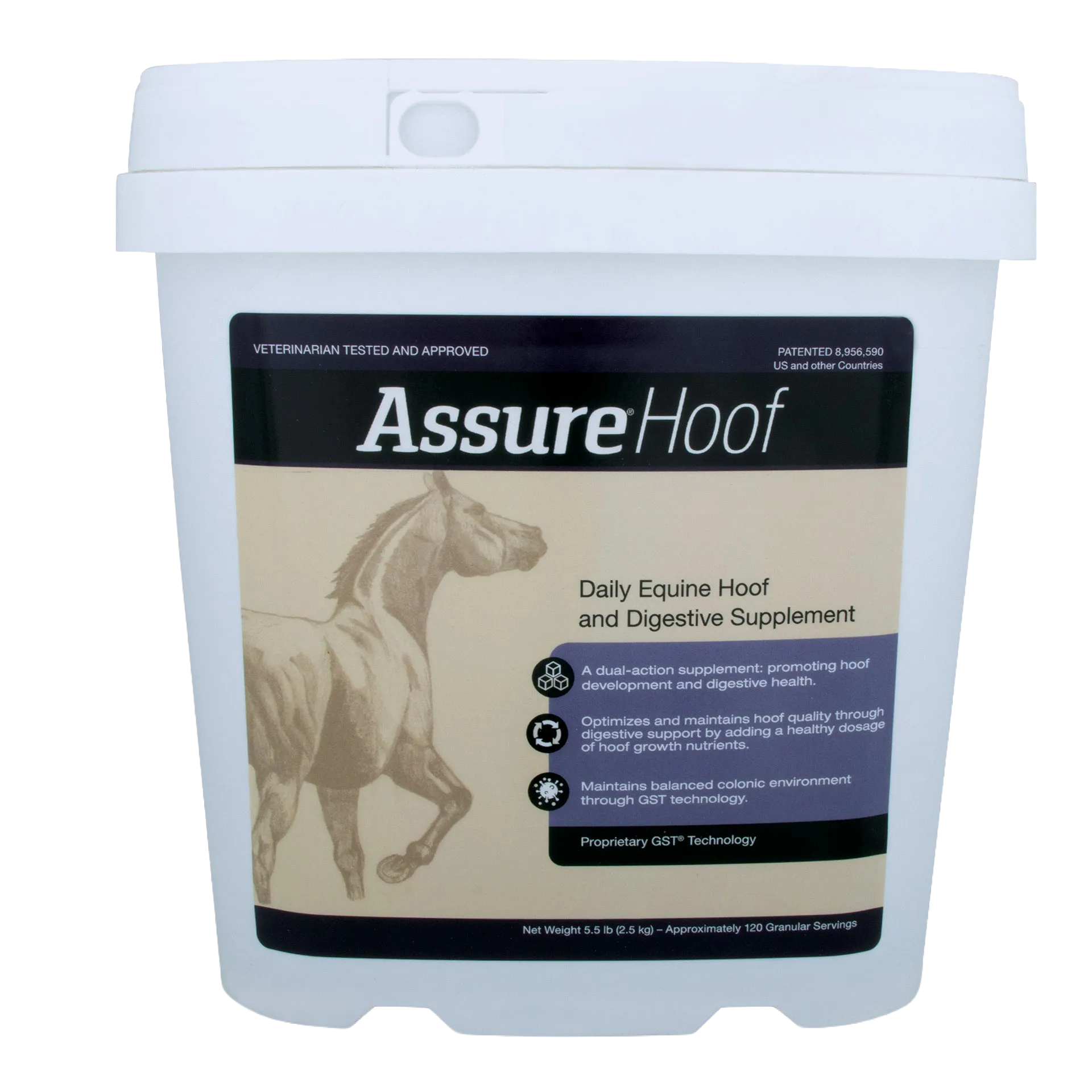 Assure® Hoof,"White plastic supplement tub with front label and snap lid"