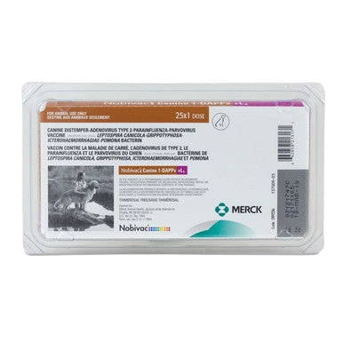 Nobivac® Canine 1-DAPPVL4,"Blister pack with vaccine label card and purple applicator"