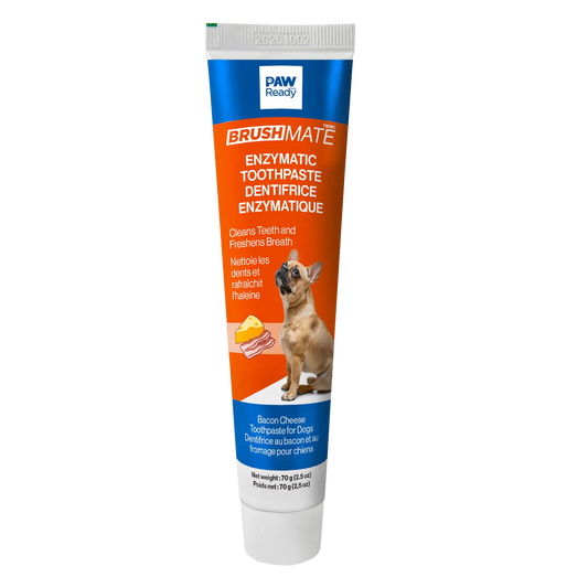 BrushMate ToothPaste,"Front view of toothpaste tube with dog illustration"