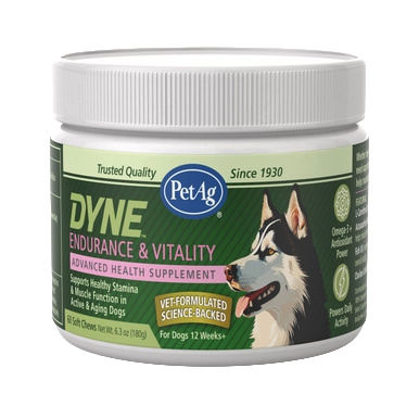 PetAg Dyne Soft Chews Endurance & Vitality,"White supplement jar with green label and dog illustration"