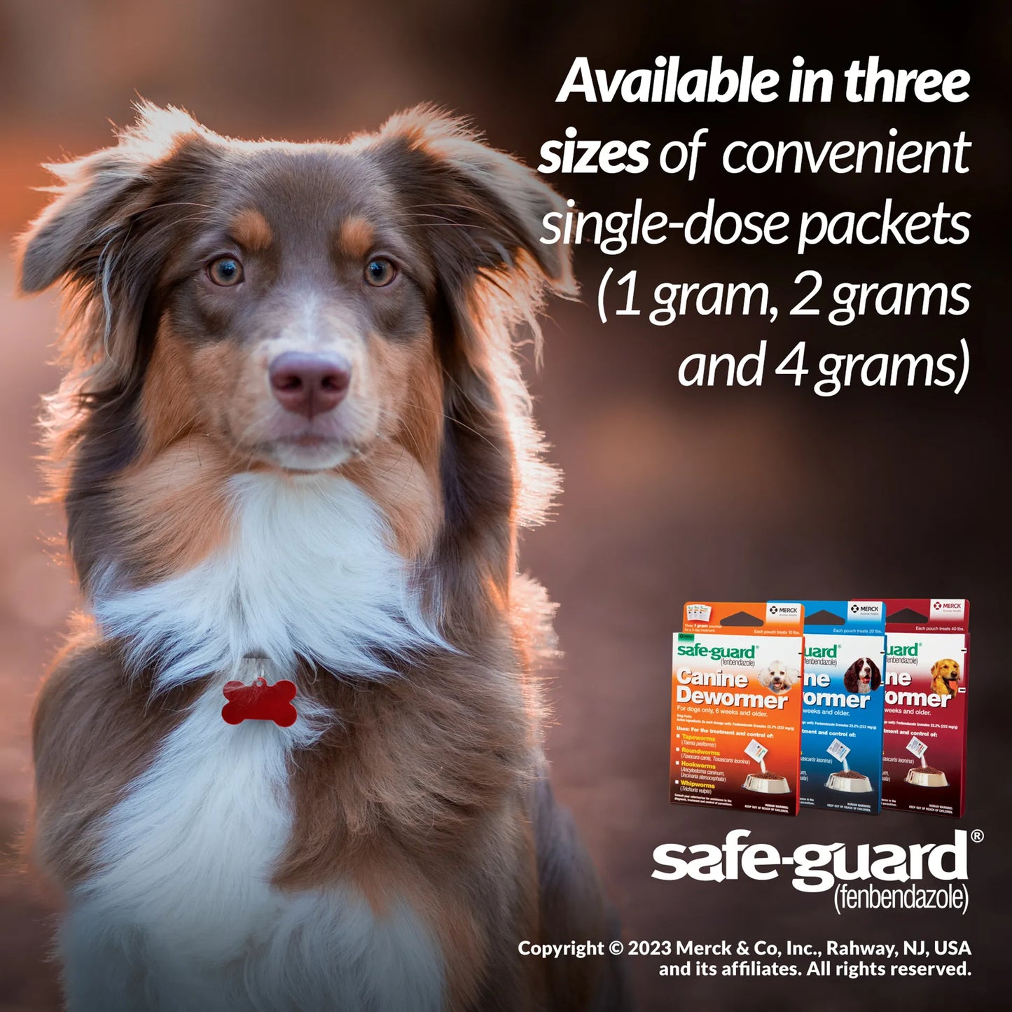 Safe-Guard® Canine Dewormer for Dogs,"Three packet boxes with dog portrait on packaging"