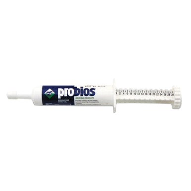 Probios® Equine One Gel,"Oral paste syringe with graduated plunger"