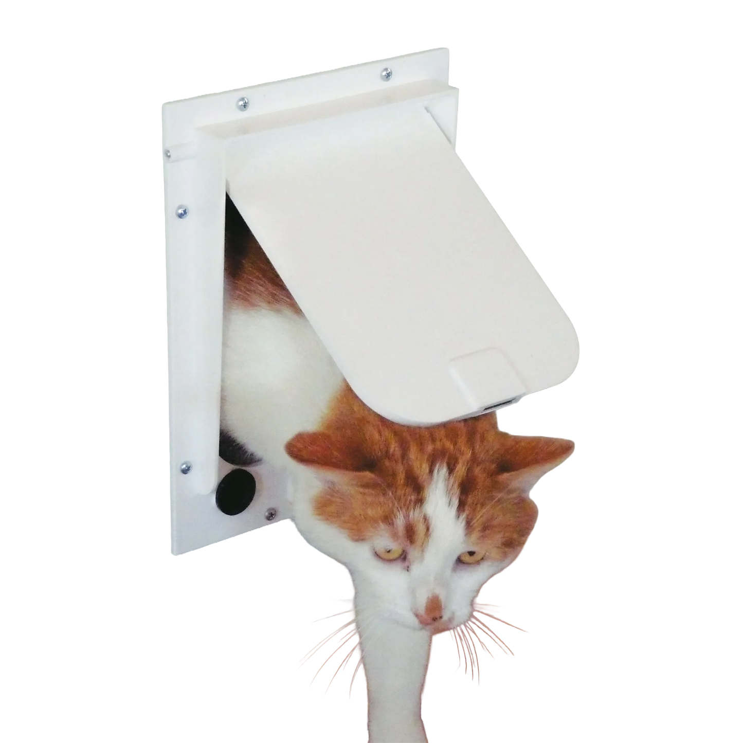 Magnador® Two-Way Pet Doors,"White pet door with flap and cat passing through"