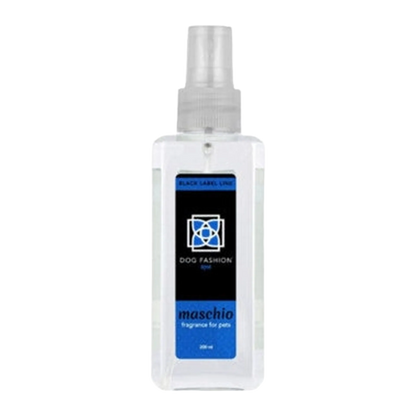 Maschio Fragrance
