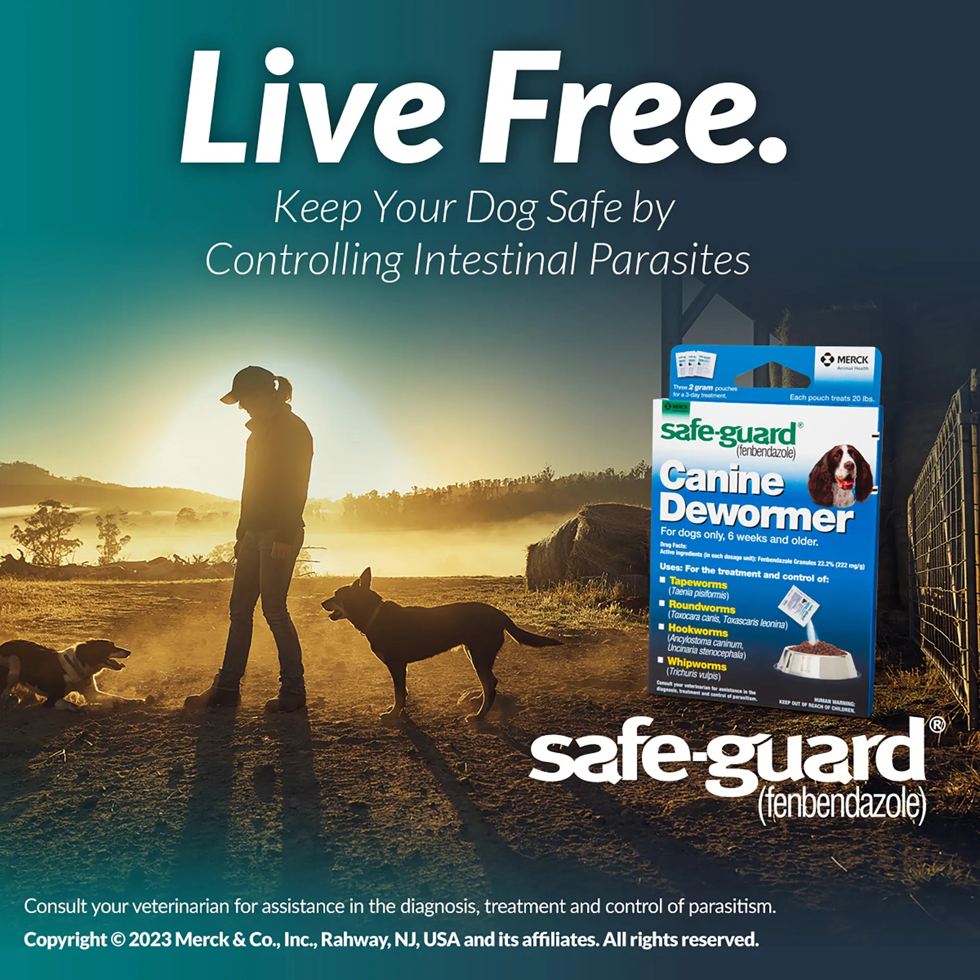 Safe-Guard® Canine Dewormer for Dogs,"Product box in outdoor scene with person and two dogs"