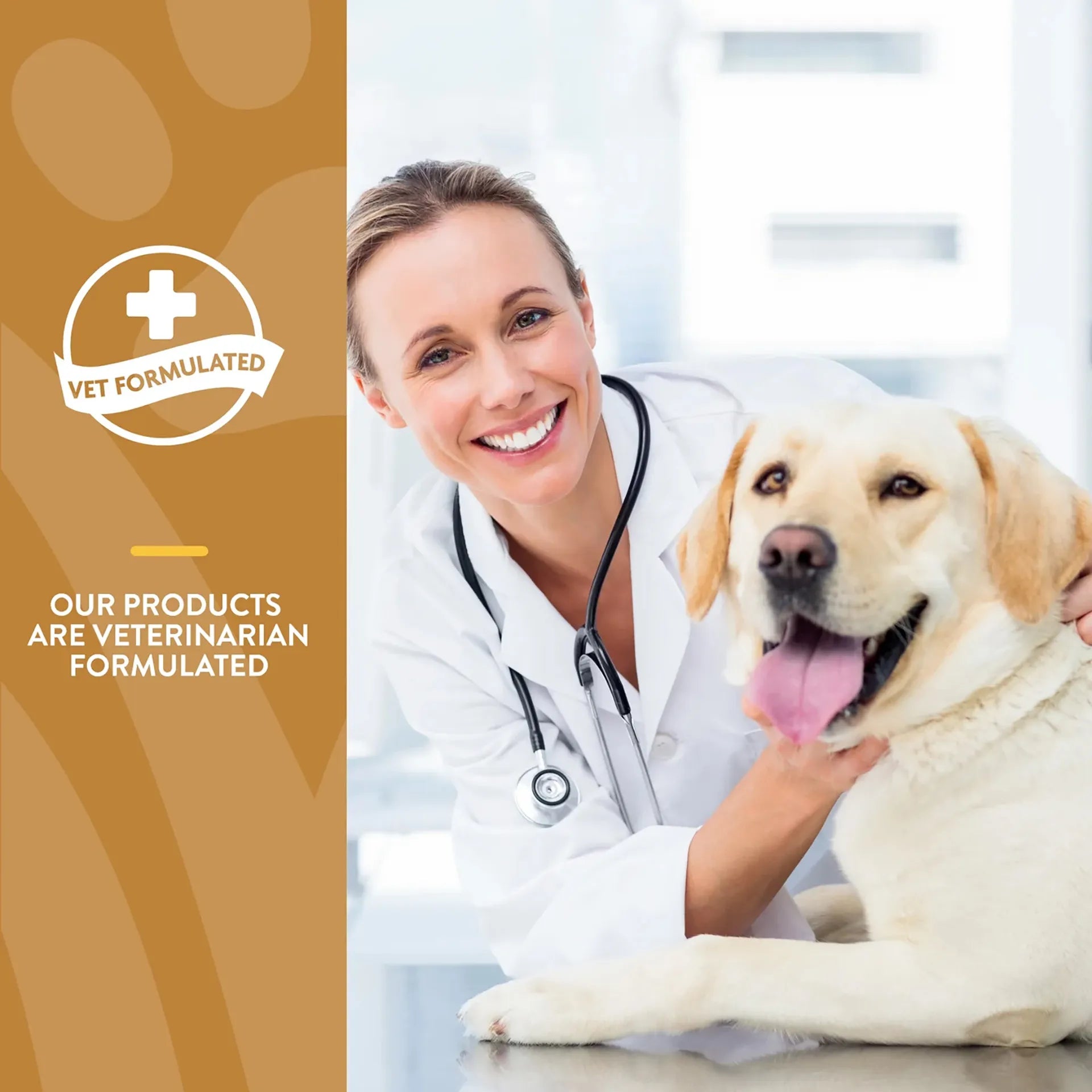 Brewers Dried Yeast Formula with Garlic Flavoring,"Veterinarian with stethoscope beside a yellow Labrador"