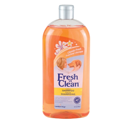 Fresh 'n Clean® Shampoo',"Orange shampoo bottle with silver cap"
