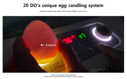 Max-20 DO Incubator by Rcom USA,"Hand holding illuminated egg over built-in candling light"