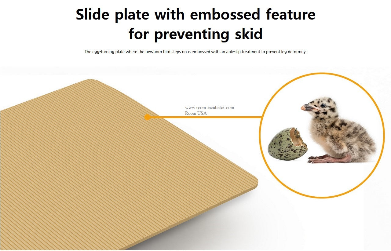 Max-20 DO Incubator by Rcom USA,"Embossed slide plate insert with chick and eggshell detail"