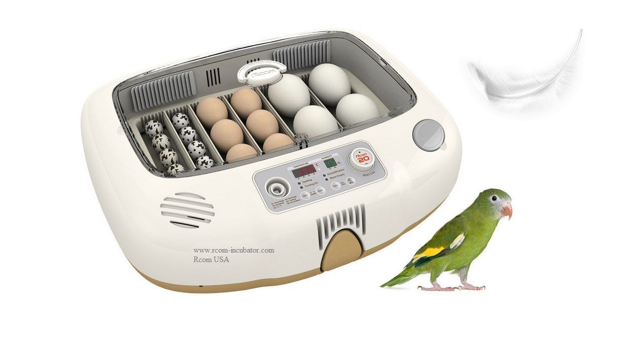 Max-20 DO Incubator by Rcom USA,"Open egg incubator with mixed eggs and parrot beside it"