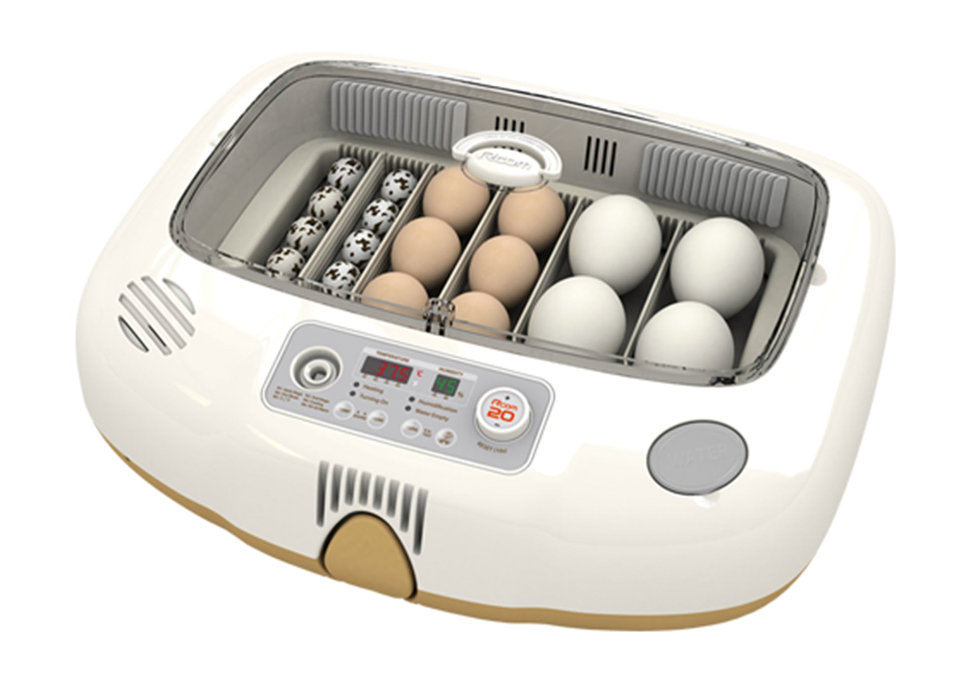Max-20 DO Incubator by Rcom USA,"Open incubator with divided tray holding mixed egg sizes"