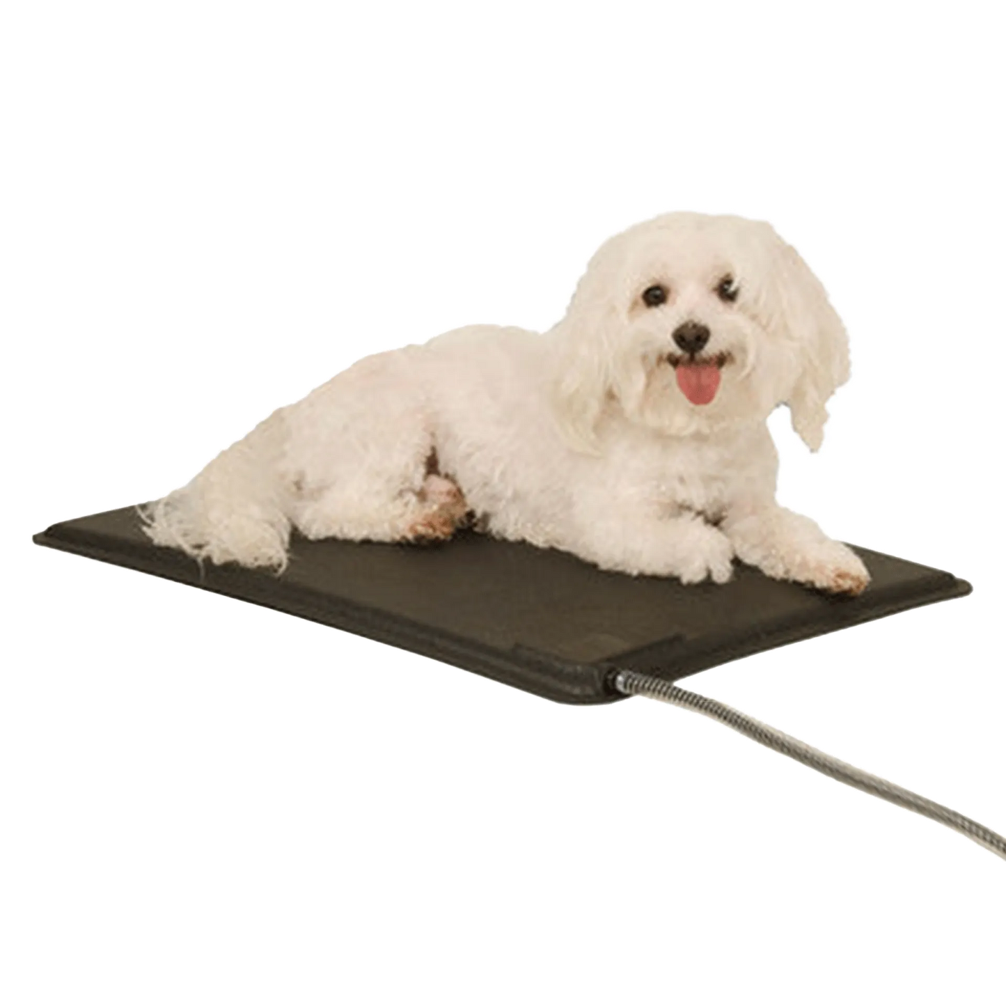 Lectro-Kennel® Heated Pad & Cover,"Black heated pad with attached cord under small white dog"
