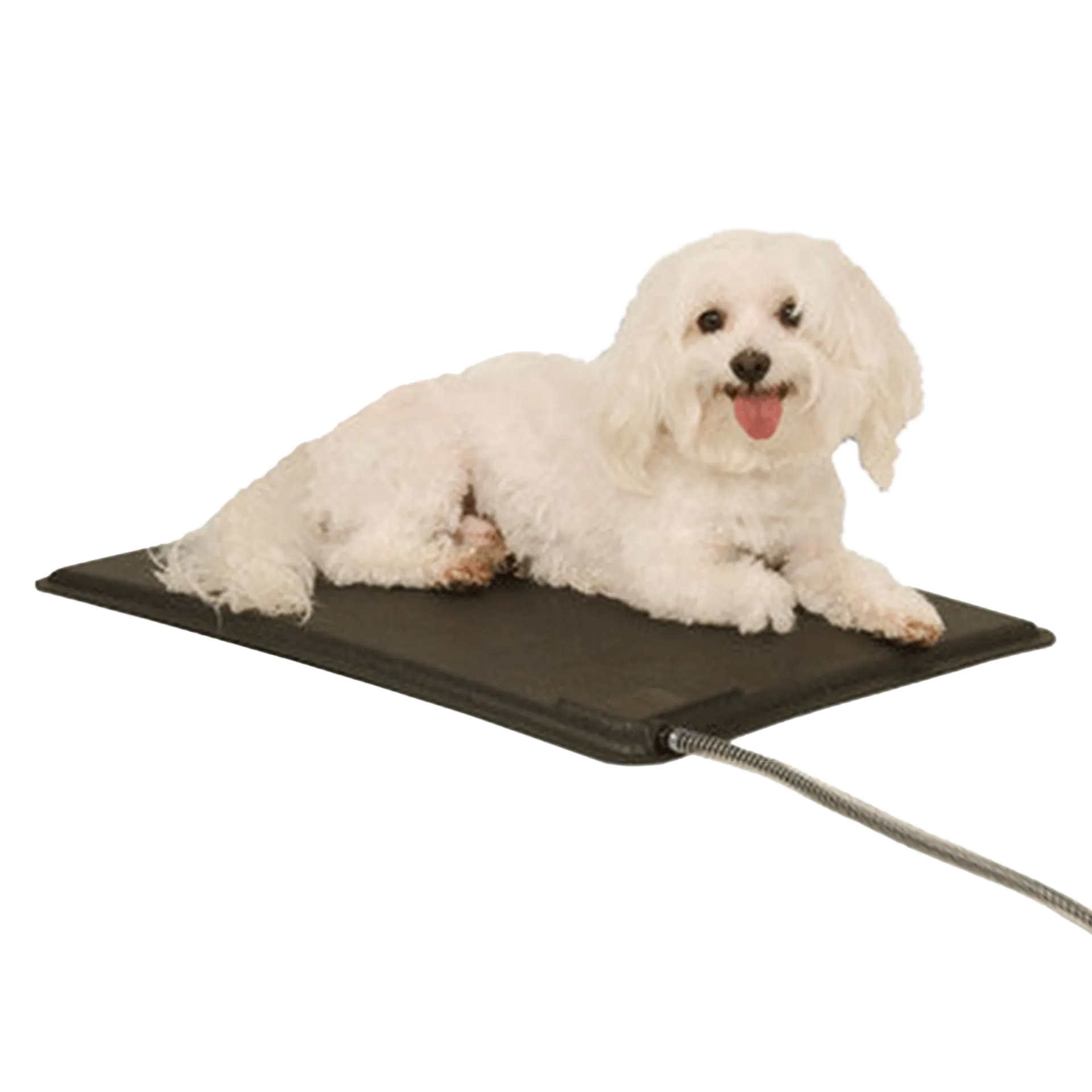 Lectro-Kennel® Heated Pad & Cover,"Black heated pad with attached cord under small white dog"