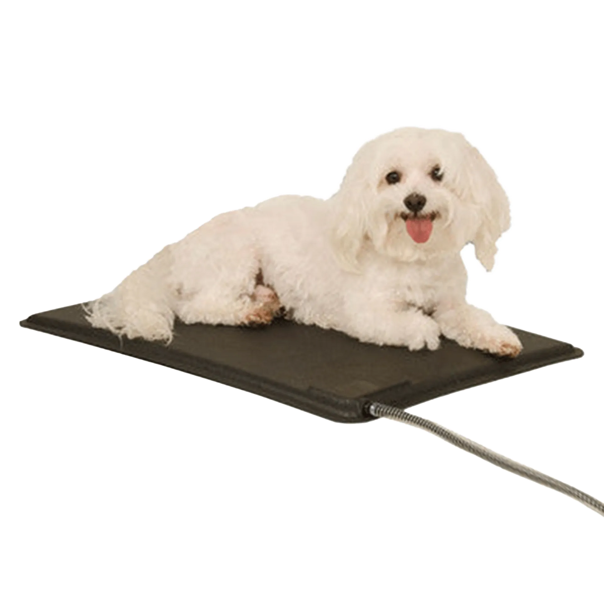 Lectro-Kennel® Heated Pad & Cover,"Black heated pad with attached cord under small white dog"