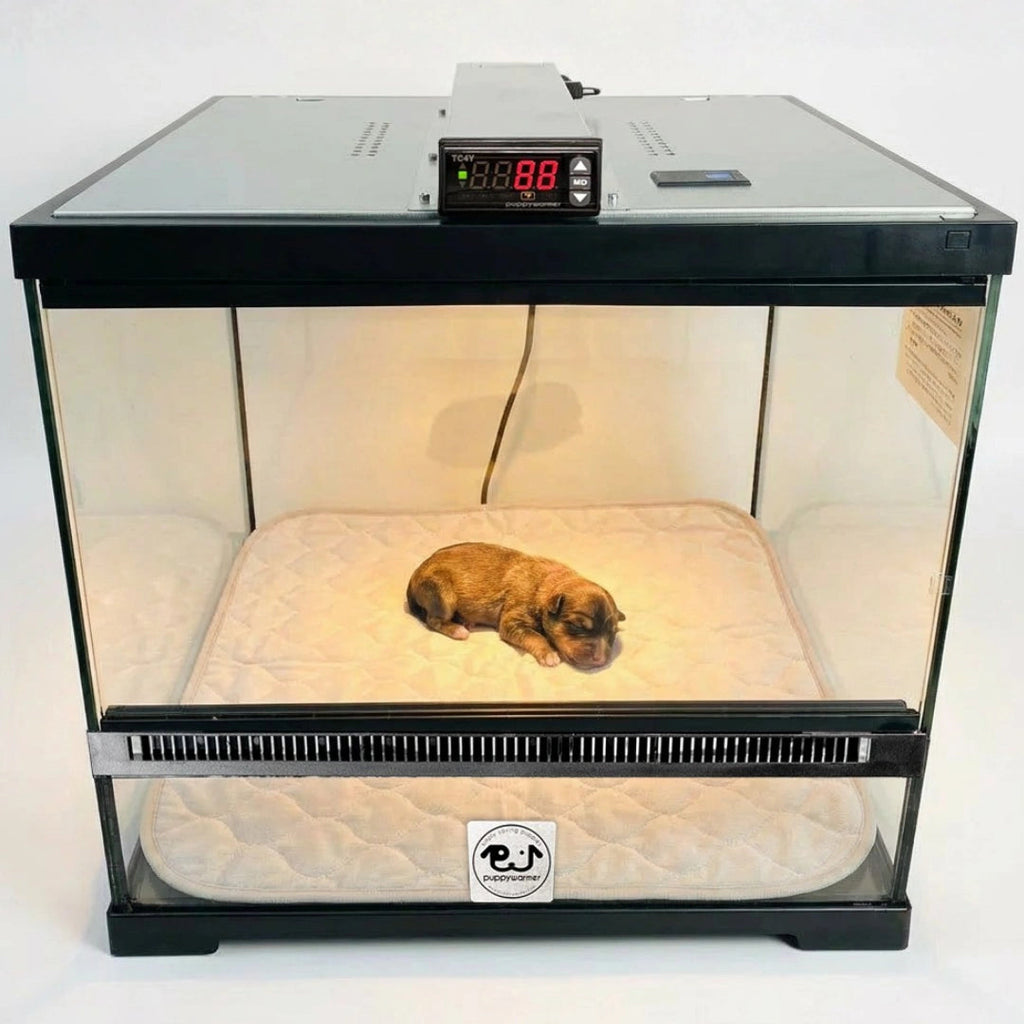 Puppywarmer Incubator Pee Pad,"Quilted pee pad inside glass puppy incubator with sleeping puppy"