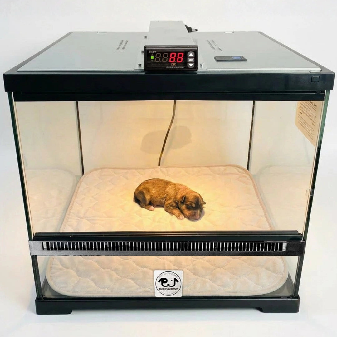 Puppywarmer Incubator Pee Pad,"Quilted pee pad inside glass puppy incubator with sleeping puppy"