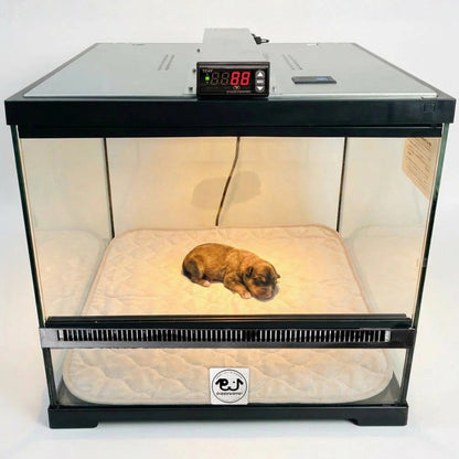 Puppywarmer Incubator Pee Pad,"Quilted pee pad inside glass puppy incubator with sleeping puppy"