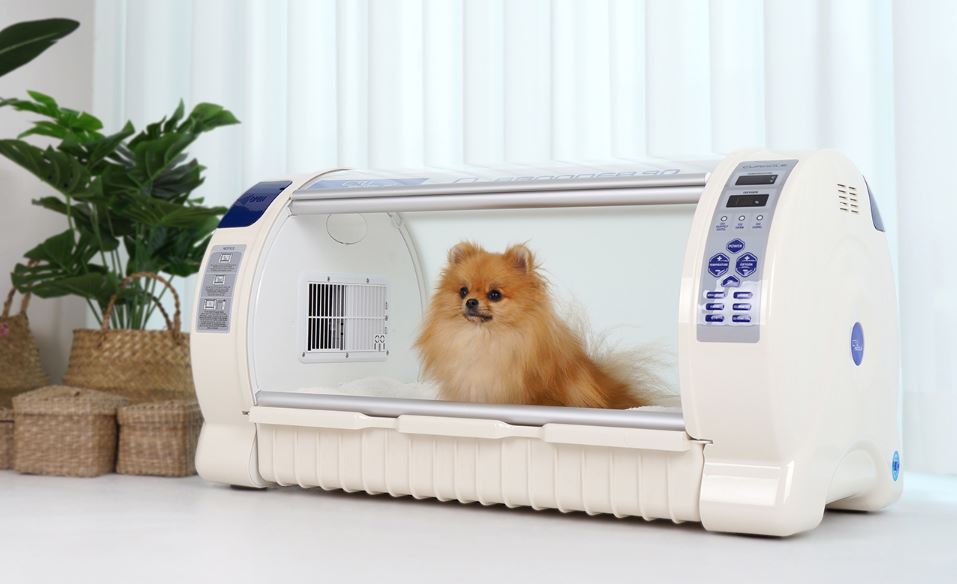 O2 Brooder by Rcom USA,"White enclosed pet brooder with clear front door and digital control panels"