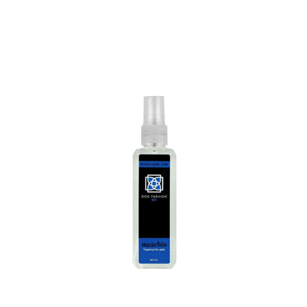 Maschio Fragrance