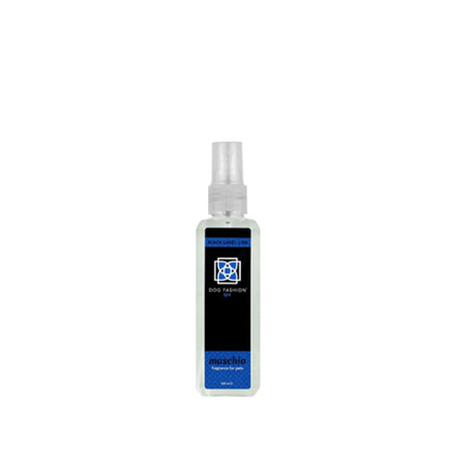 Maschio Fragrance