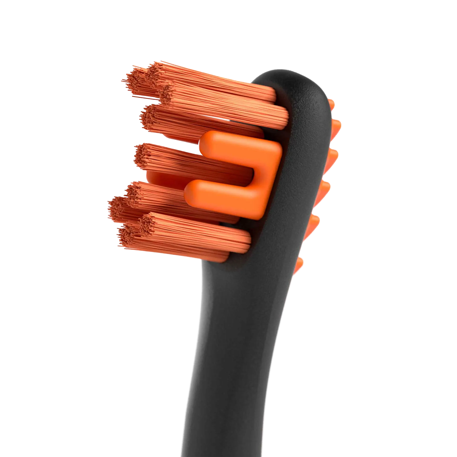 BrushMate Premium Toothbrush,"Close-up of black toothbrush head with orange bristles"