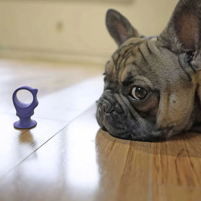 BrushMate Biteblock,"Purple ring-shaped dog toy beside a resting bulldog"