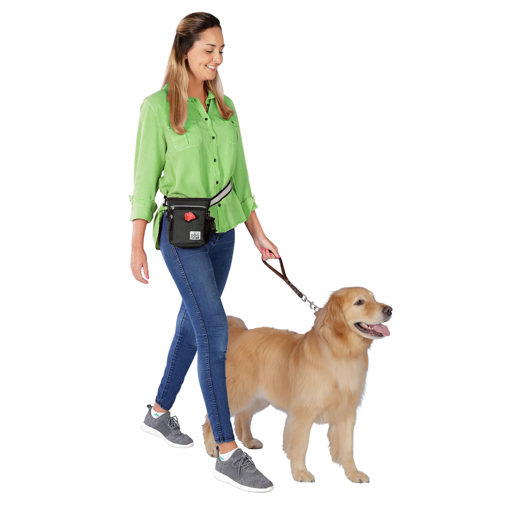 Day/Night Walking Bag,"Black waist bag worn while walking a dog"