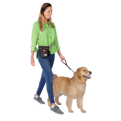 Day/Night Walking Bag,"Black waist bag worn while walking a dog"