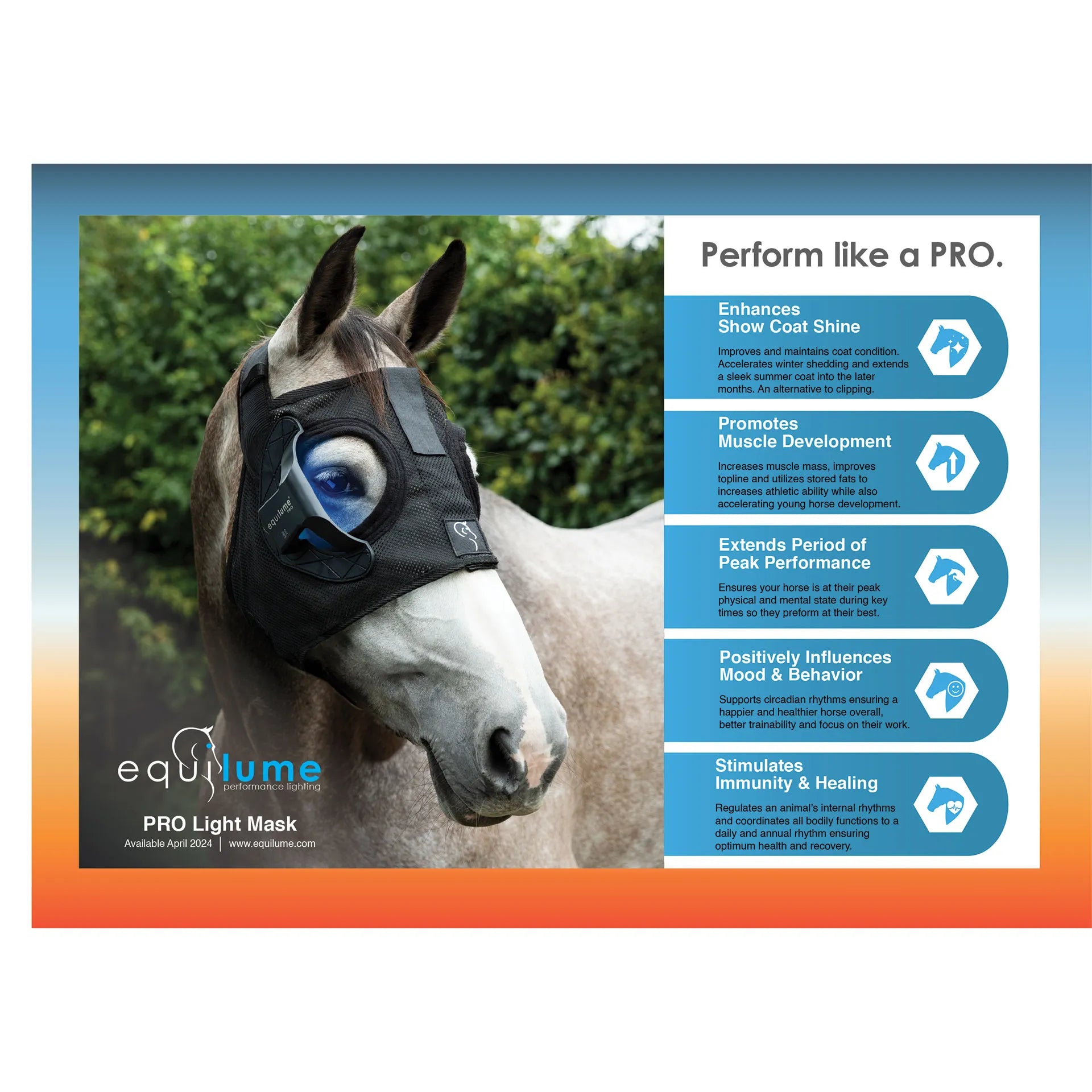 Equilume Pro Light Mask,"Horse wearing black face mask"