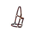 Suckling Halter,"Brown strap halter with metal buckles"