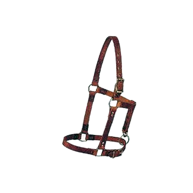 Suckling Halter,"Brown strap halter with metal buckles"