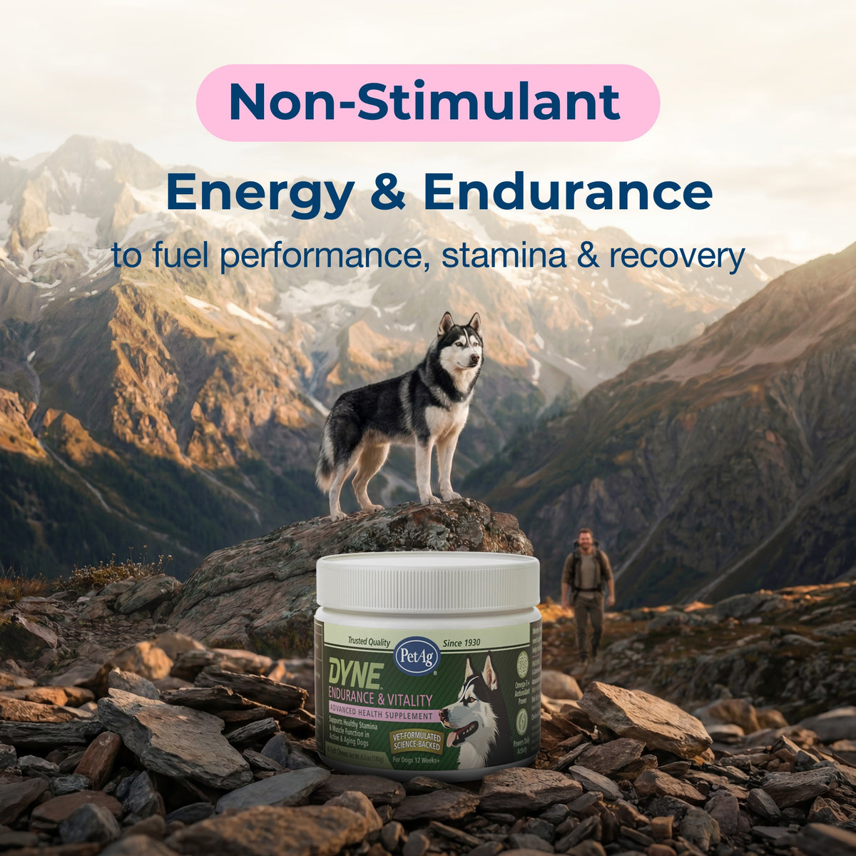 PetAg Dyne Soft Chews Endurance & Vitality,"Supplement tub with dog on rock in mountain scene"