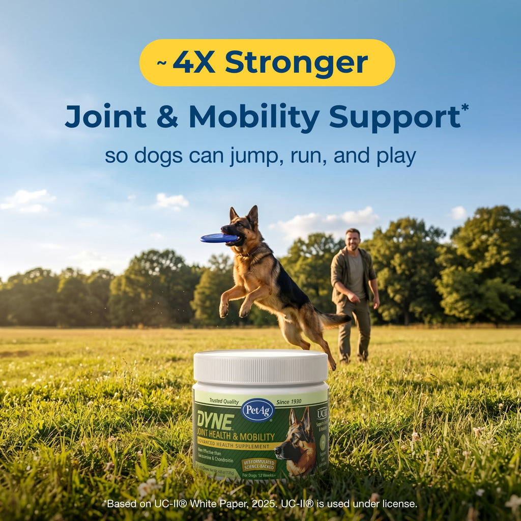 PetAg Dyne Soft Chews Joint Health & Mobility,"Supplement jar on grass with jumping dog and handler"