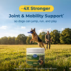 PetAg Dyne Soft Chews Joint Health & Mobility,"Supplement jar on grass with jumping dog and handler"