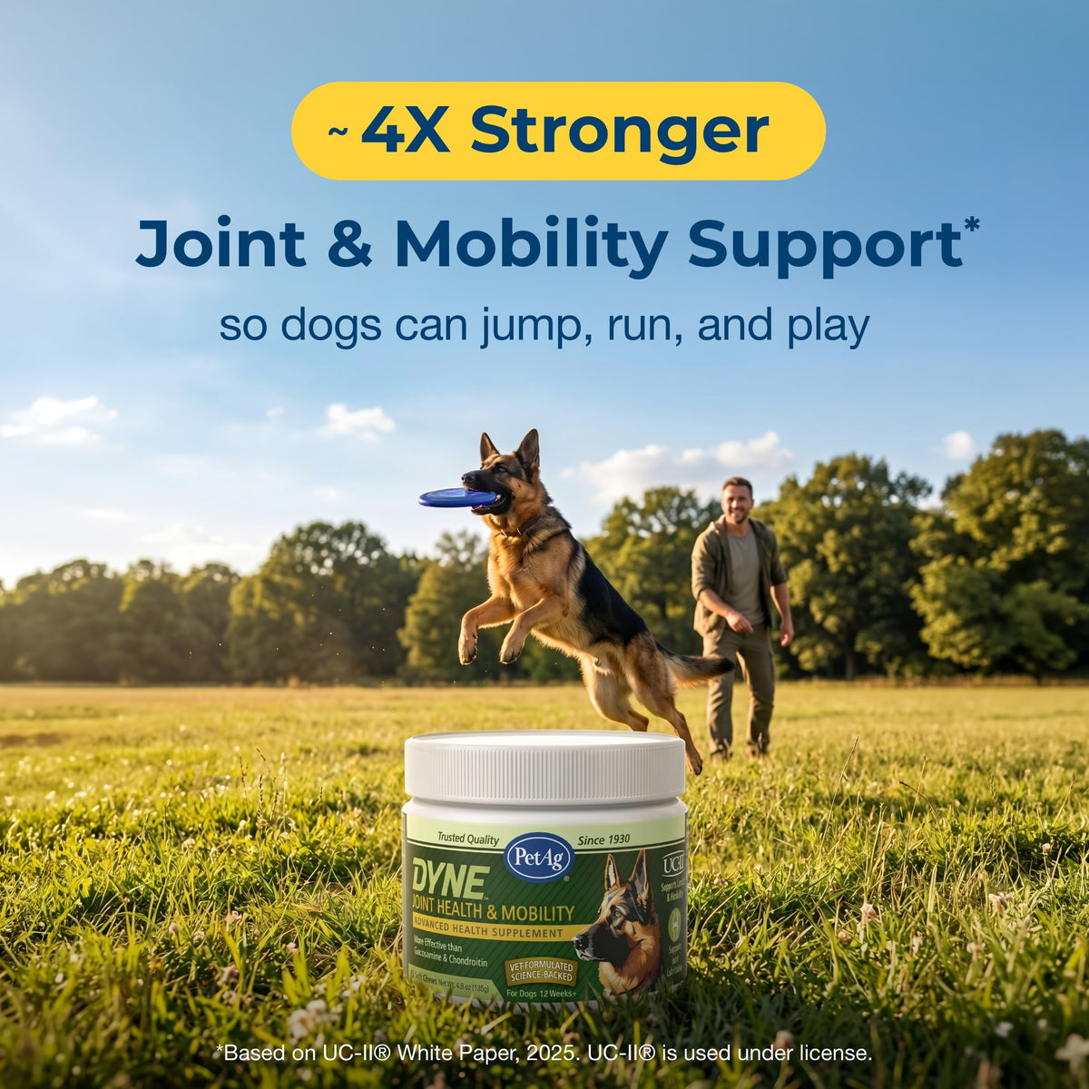 PetAg Dyne Soft Chews Joint Health & Mobility,"Supplement jar on grass with jumping dog and handler"