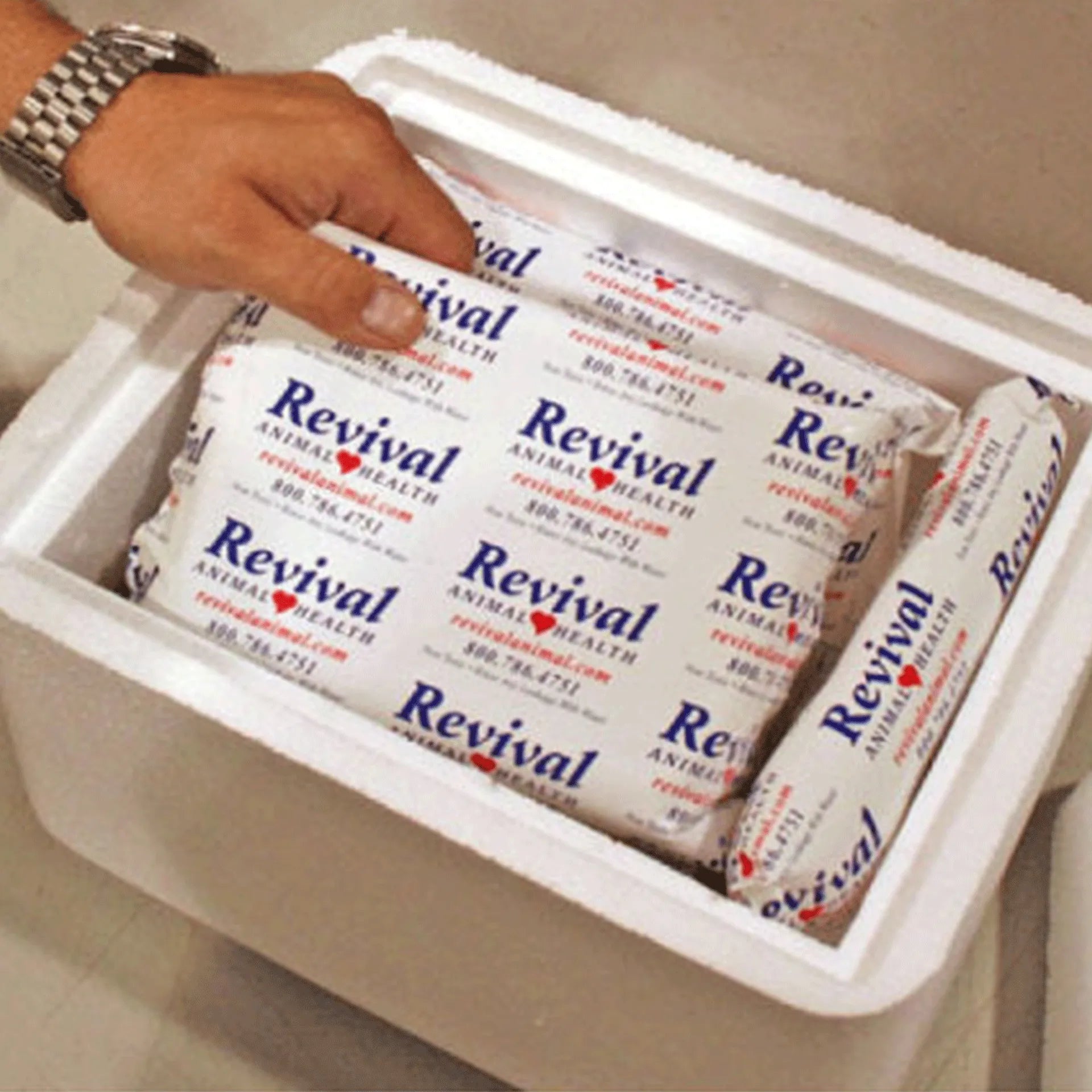 Revival Animal Health Extra Ice,"White foam cooler filled with wrapped ice packs"