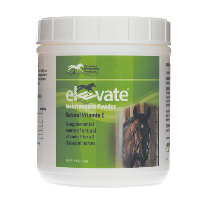 Elevate Maintenance Powder,"White plastic tub with green front label and screw-top lid"